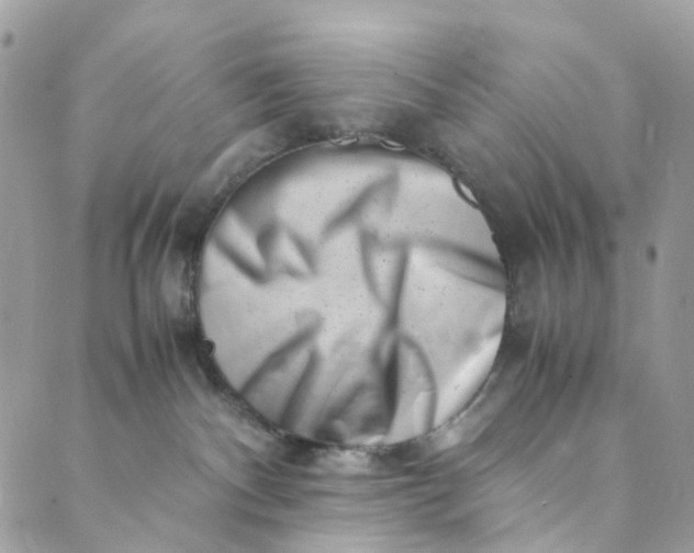 X0000089430140200706291323