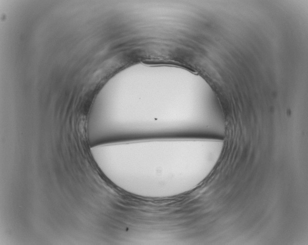 X0000089430141200706291323