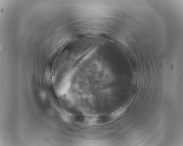 X0000089430143200706291323