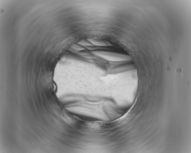 X0000089430144200706291323