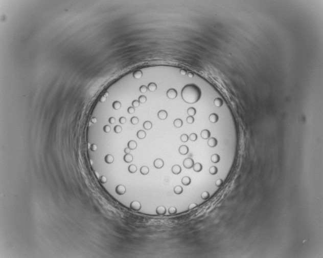 X0000089430145200706291323