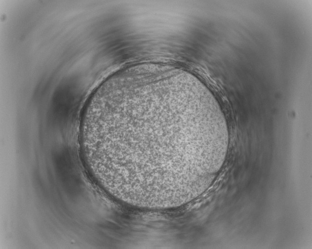 X0000089430146200706291323