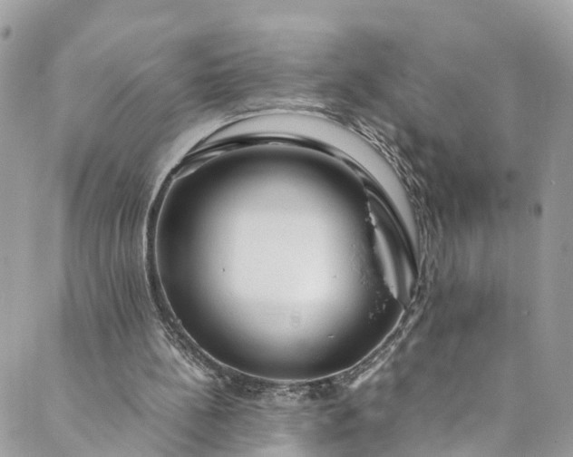 X0000089430148200706291323