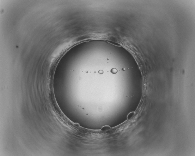 X0000089430149200706291323