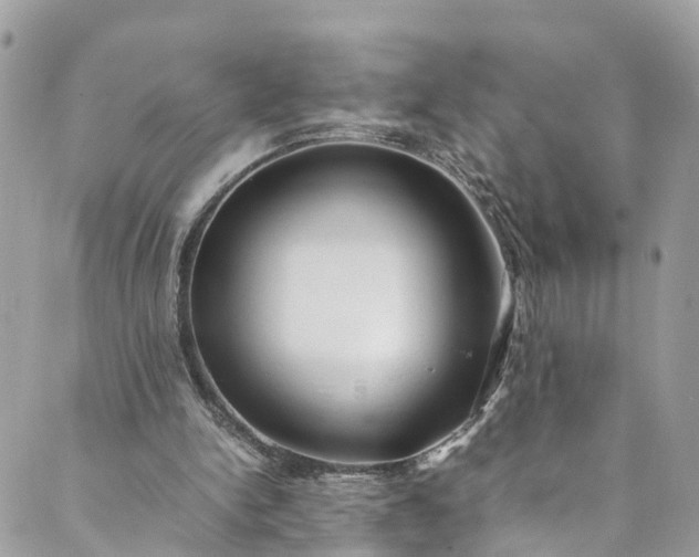 X0000089430150200706291323