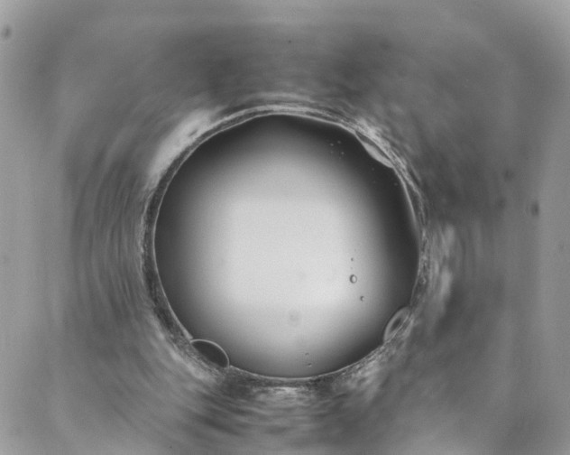 X0000089430151200706291323