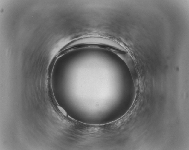 X0000089430152200706291323