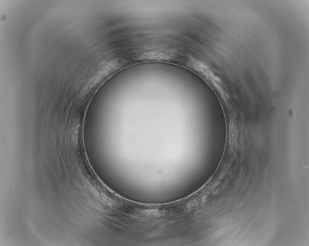 X0000089430153200706291323