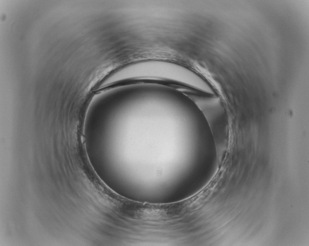 X0000089430154200706291323