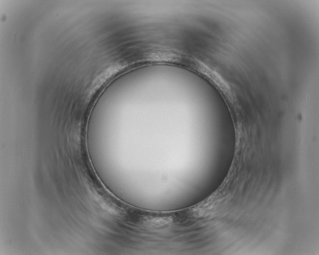 X0000089430155200706291323