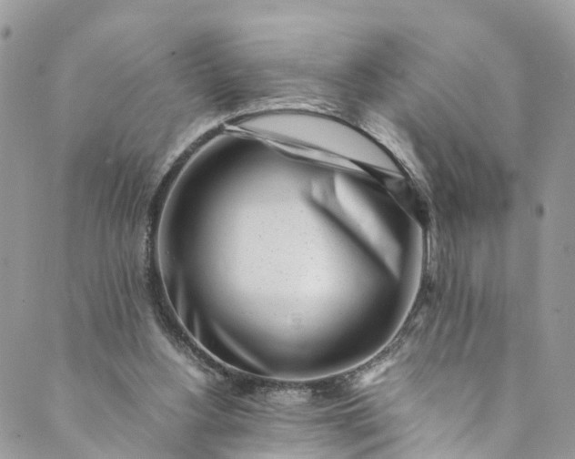 X0000089430156200706291323