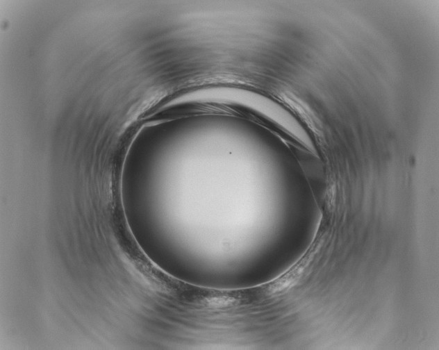 X0000089430158200706291323