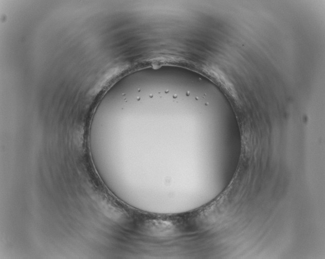 X0000089430159200706291323