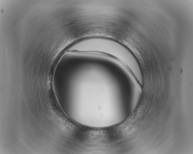 X0000089430160200706291323