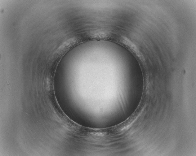 X0000089430161200706291323