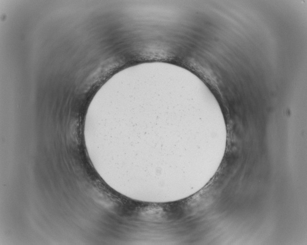 X0000089430162200706291323