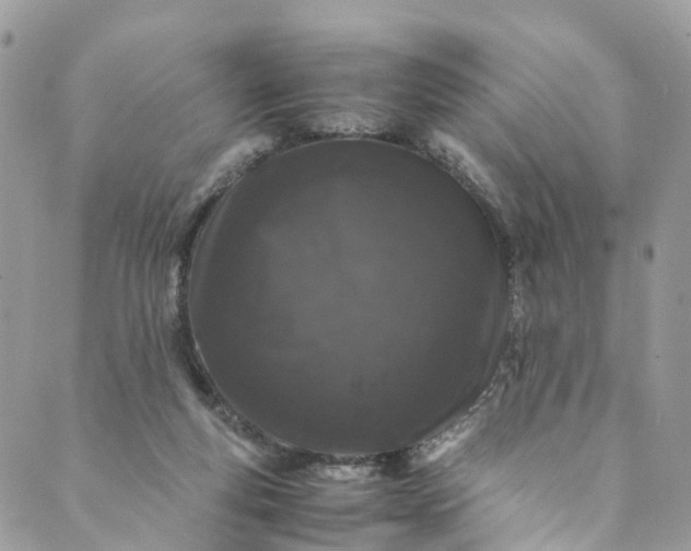 X0000089430163200706291323