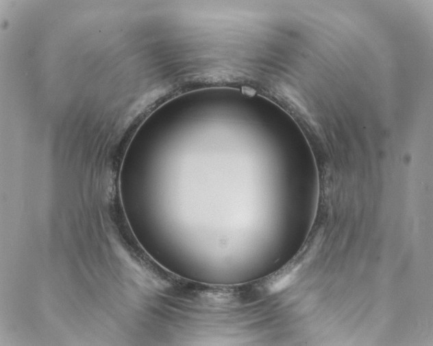 X0000089430164200706291323