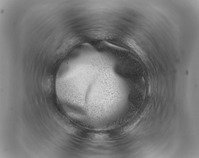 X0000089430165200706291323