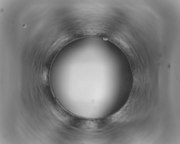 X0000089430166200706291323