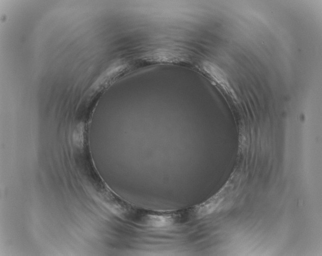 X0000089430167200706291323