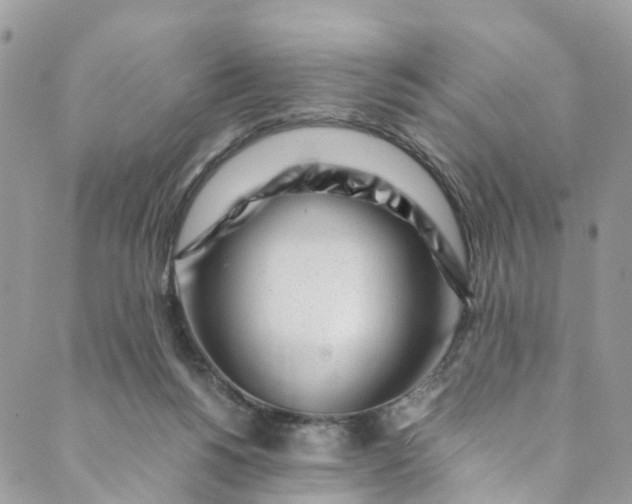 X0000089430168200706291323