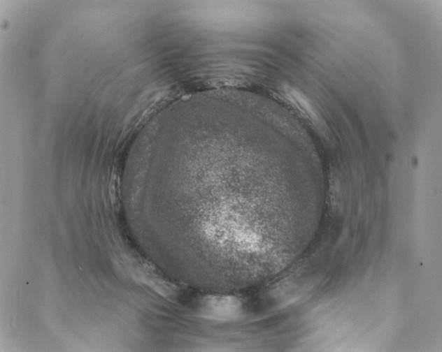 X0000089430169200706291323