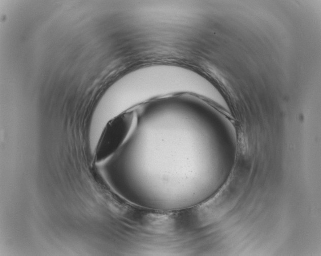 X0000089430170200706291323