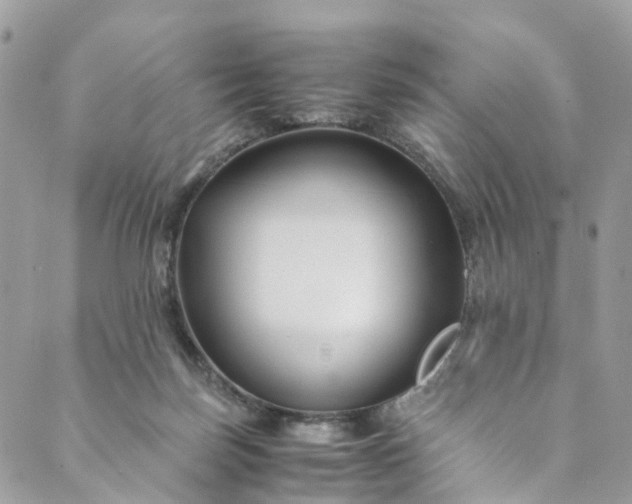 X0000089430171200706291323