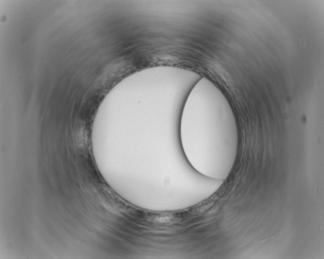 X0000089430173200706291323