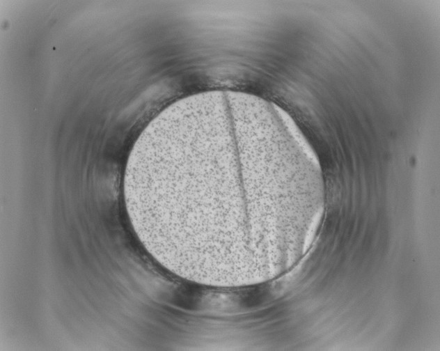 X0000089430174200706291323