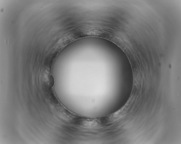 X0000089430175200706291323