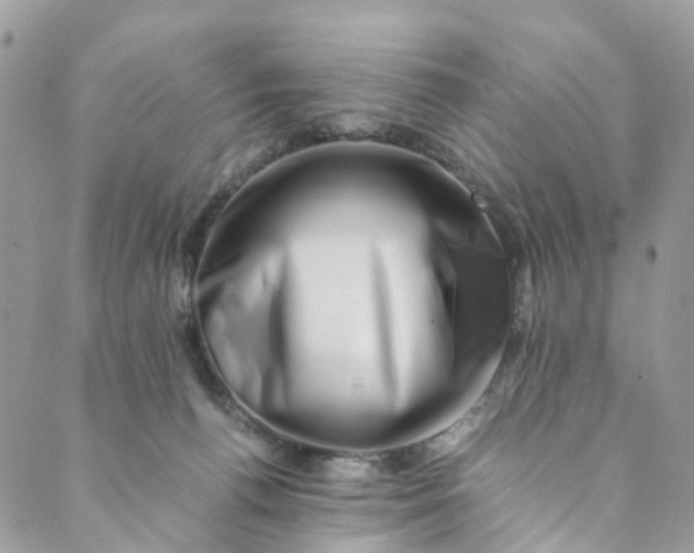 X0000089430176200706291323