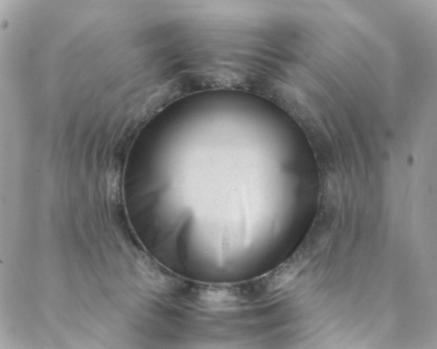 X0000089430177200706291323