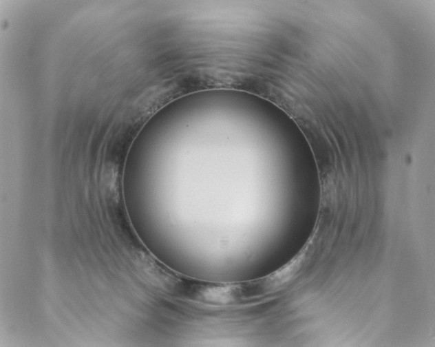 X0000089430178200706291323