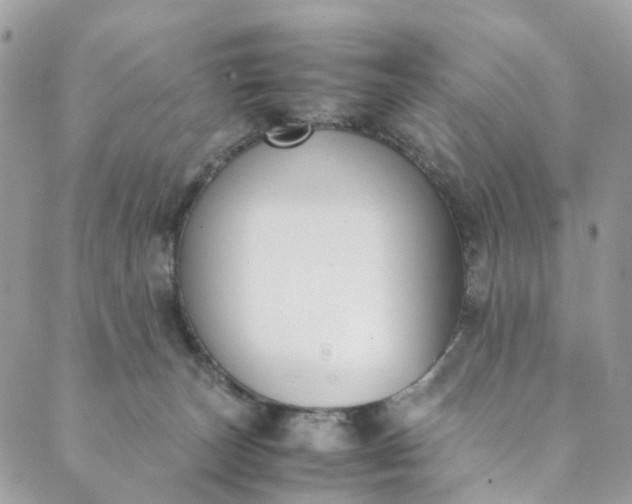 X0000089430179200706291323