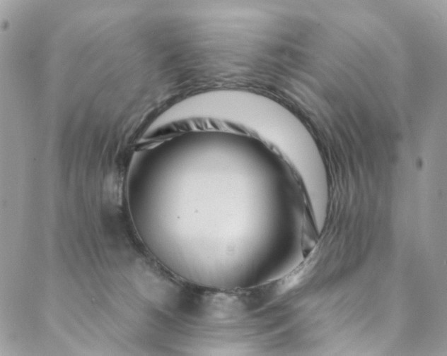 X0000089430180200706291323