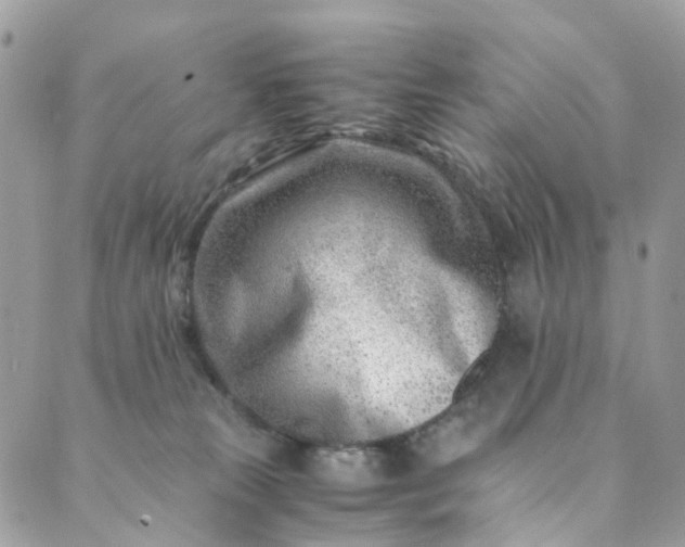 X0000089430181200706291323