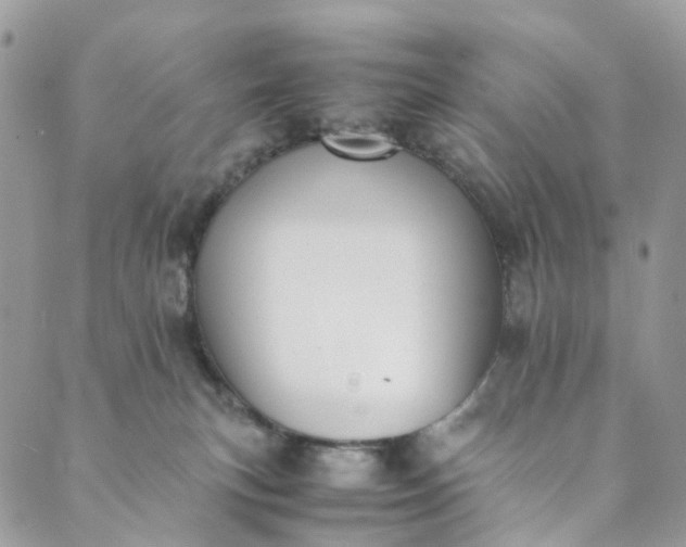 X0000089430183200706291323