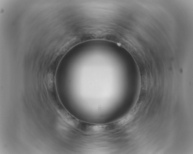 X0000089430184200706291323