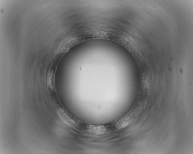 X0000089430185200706291323