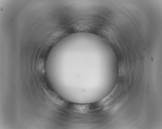 X0000089430187200706291323