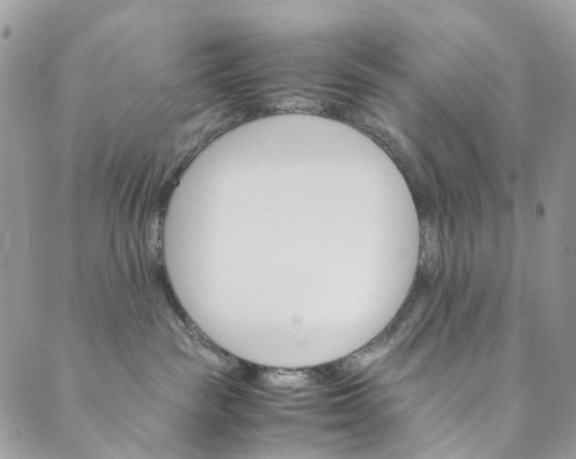 X0000089430189200706291323