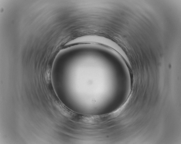 X0000089430190200706291323