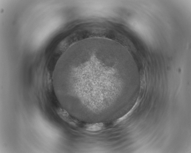 X0000089430191200706291323