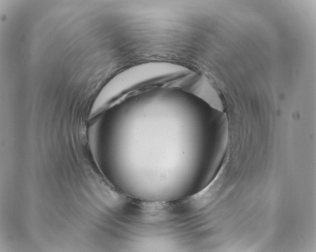 X0000089430192200706291323