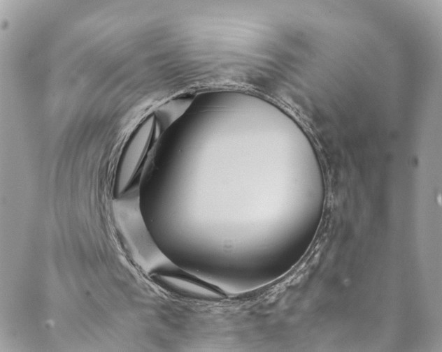 X0000089430193200706291323