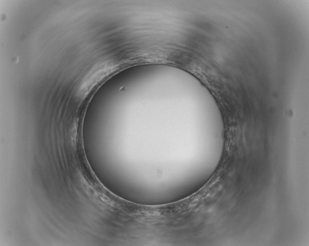 X0000089430194200706291322