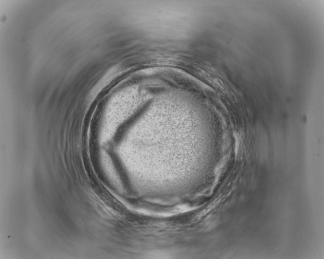 X0000089430195200706291322