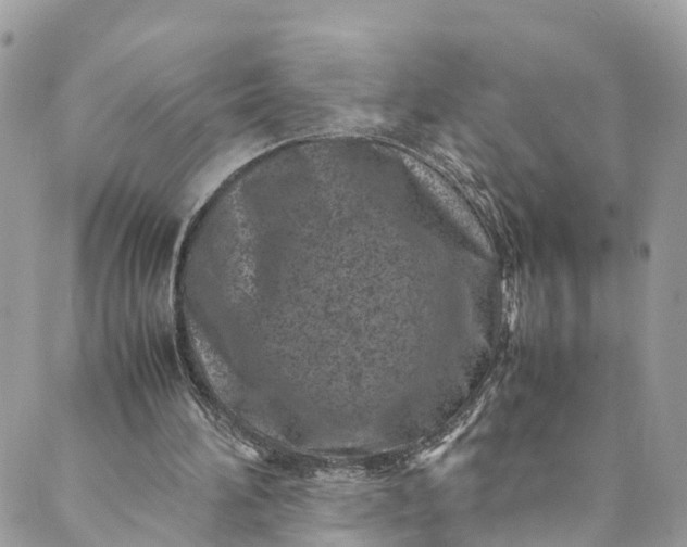 X0000089430196200706291322